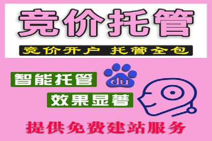 百度竞价账户托管实战：如何实现ROI最大化